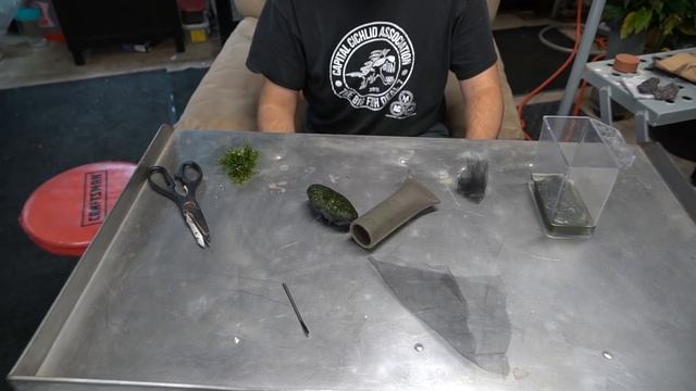 SIMPLE way to attach moss- CHEAP and EASY смотреть онлайн