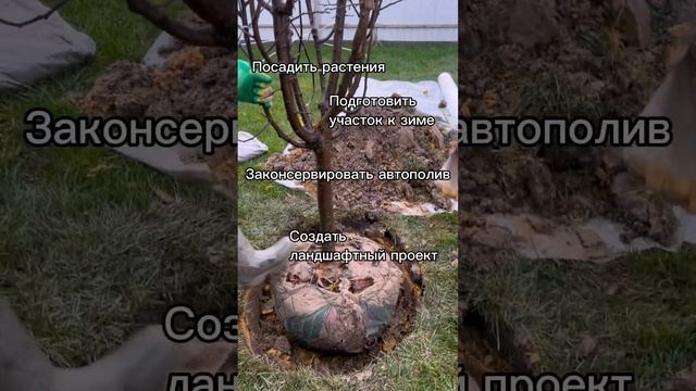 Работаем без выходных и по желанию заказчика #сад #газон #мощение #ландшафт #брусчатка #garden смотреть онлайн