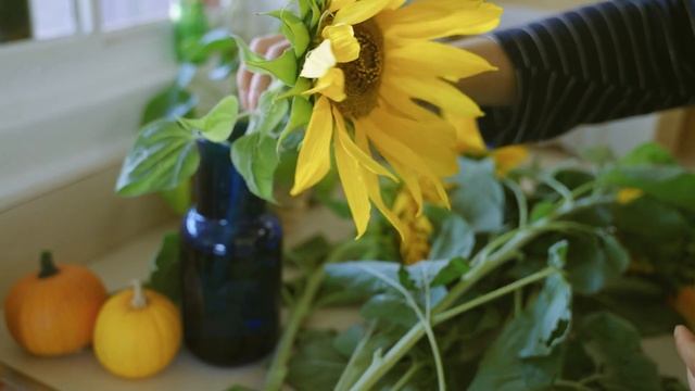 Welcome to my Sun Flower Garden｜Cut Flower Backyard Garden｜Garden Making ep5 смотреть онлайн