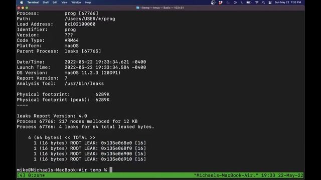 Using Leaks (the valgrind equivalent) on Mac (Shown on M1) to detect memory leaks смотреть онлайн