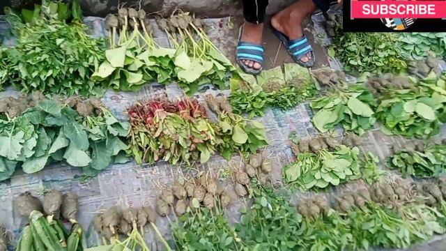 Galiff Street Plant Market l Bagbazar Plant Market #galiffstreetplantmarket #galiffstreetpetmarket смотреть онлайн