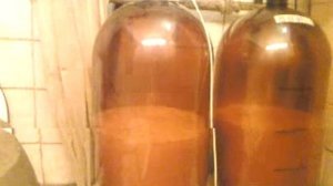 Уникальный пеногаситель браги с помощью пылесоса