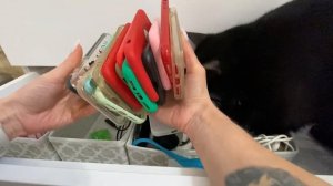 ВЛОГ: Неудачная уборка. Кира перенесла уроки и сбежала из школы.