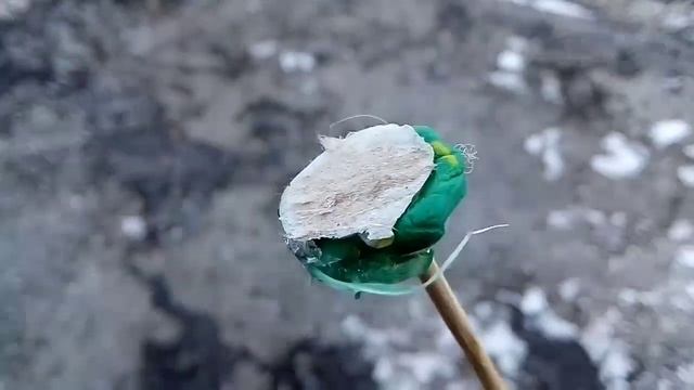 Я ДАРЮ ТЕБЕ ЦВЕТЫ! смотреть онлайн