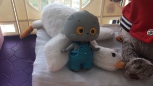 Басики едут на море! Список вещей для Басика!