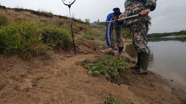 Рыбалка на реке Колва, щука на фидер, есть лещи!) смотреть онлайн
