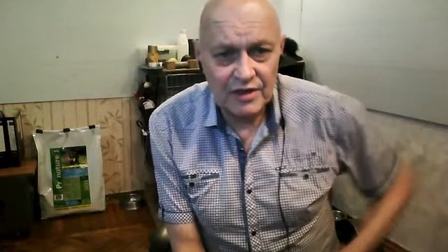 Стрим 64. Ответы на вопросы смотреть онлайн