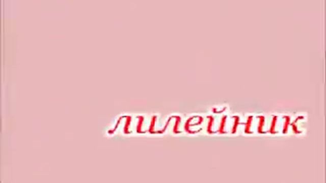 Азбука цветов(Л)полная версия смотреть онлайн