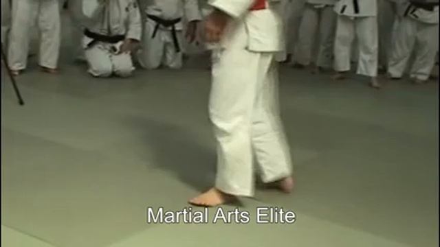 Seminar 12: Methodological seminar Judo in Moscow смотреть онлайн
