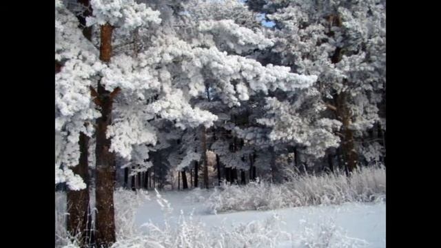 В белый снег весь лес одет.wmv смотреть онлайн