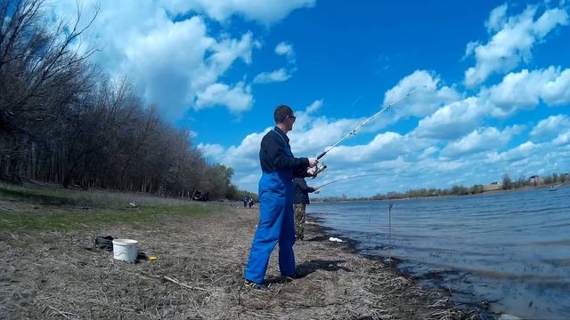 ВОБЛА 2017. Астрахань. Вобла пошла . р. Кривая Болда