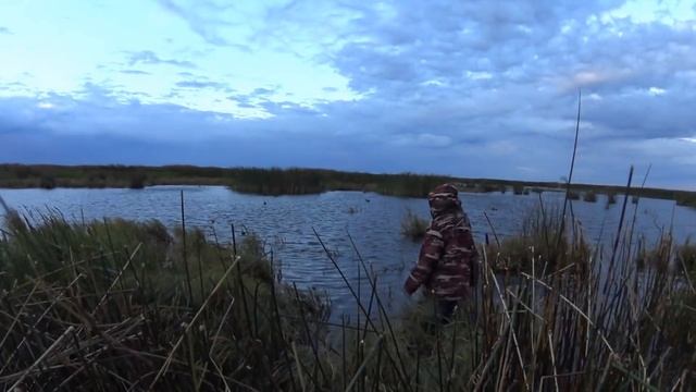 Охота в Казахстане 17.09.2020.Шикарная утрянка.Крякаш,Черная кряква,Чирок. смотреть онлайн