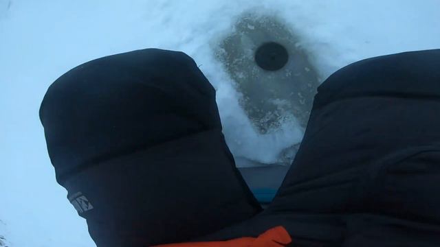 ПЕРВЫЕ ОКУНИ С ПЕРВОГО ЛЬДА! ДАРЮ РЫБОЛОВНЫЙ ЯЩИК ЗА ЛУЧШИЙ КОММЕНТАРИЙ И ЛАЙК! #первыйлёд #рыбалка смотреть онлайн