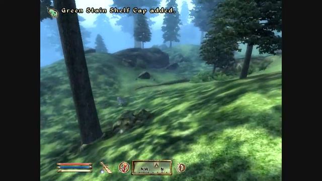 Oblivion - LP - Episode 62 - Map Marker Hunt (2/14) смотреть онлайн
