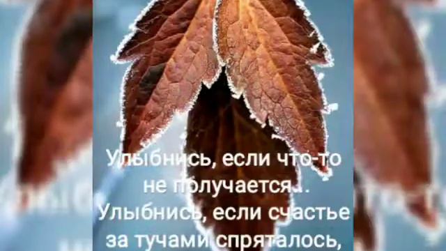 Пусть будет день прекрасен 🍂🌿🌾 смотреть онлайн