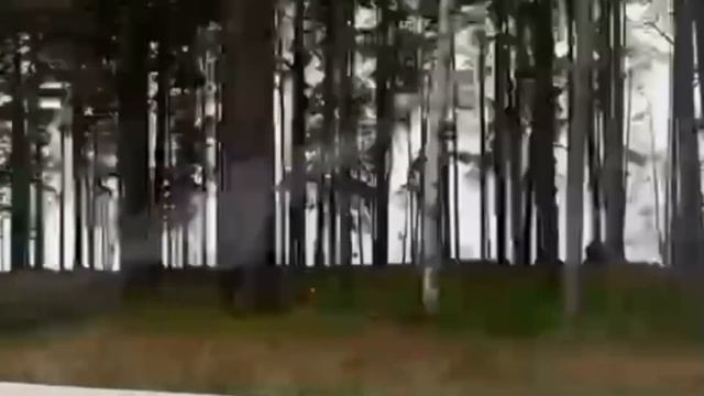 Петербург - "День Москвича" 2023 смотреть онлайн