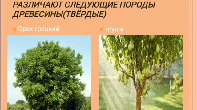 Технология.6 класс.4 четверть 1 урок.Школа А.С.Макаренко смотреть онлайн