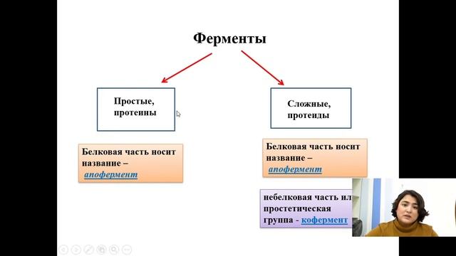 Трансляция |Объединение "Юный биотехнолог" | Ферменты смотреть онлайн