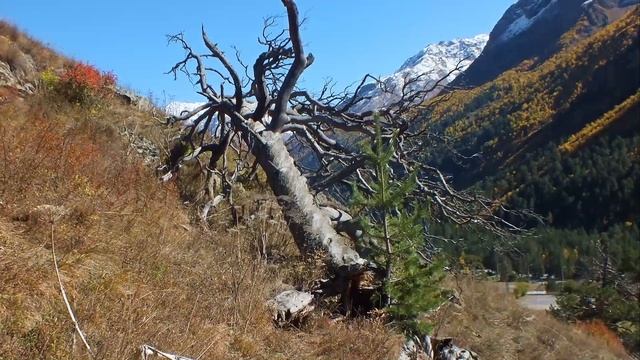 Приэльбрусье Прогулки под склонами Иткола Крутень Е И смотреть онлайн