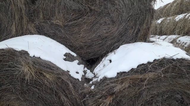 Как скирдовать сено! Как складывать рулоны! смотреть онлайн