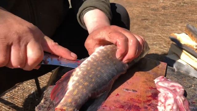 Лучший рецепт ухи Ассорти - карась окунь ленок и щука