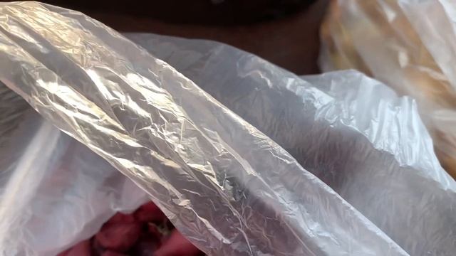Посадка лука на зиму |Сорта лука на высадку. смотреть онлайн
