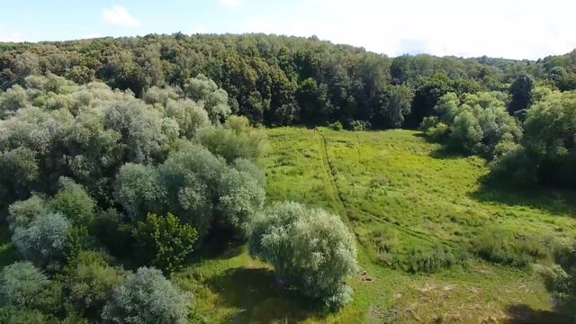 Окский Берег смотреть онлайн