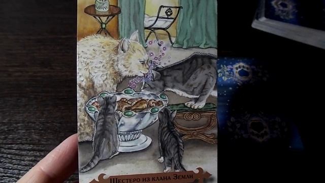 Гадание на 23 марта 2020 года. Карта дня. Таро Мистических Кошек. смотреть онлайн