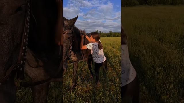 А как вы забираетесь на лошадь?                                 Поделитесь этим в комментах👇🐎😉