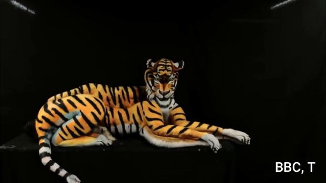 Johannes Stoetter Biography | About the Artist - A Master of Bodyart and Illusions смотреть онлайн
