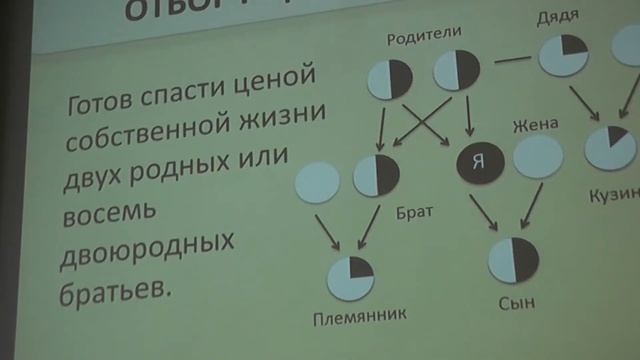 42 Принятие решений, или Математика игр и поведение животных смотреть онлайн