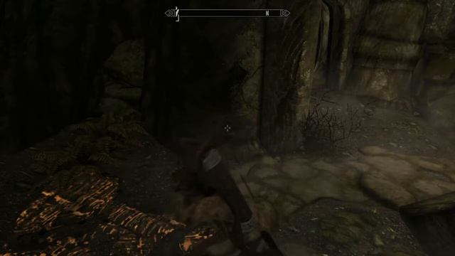 The Elder Scrolls V: Skyrim (# 9)