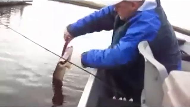 Ловля щуки ранней весной ДЛИНА 102 см смотреть онлайн