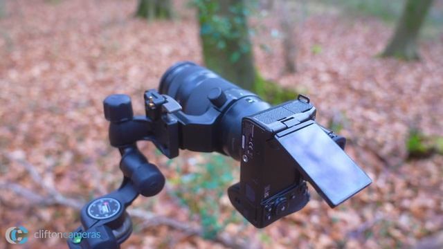Panasonic Lumix S5 II First Look // Full Spec List смотреть онлайн