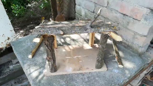 Сделал крутую кормушку из палок . Кормушка для птиц своими руками смотреть онлайн