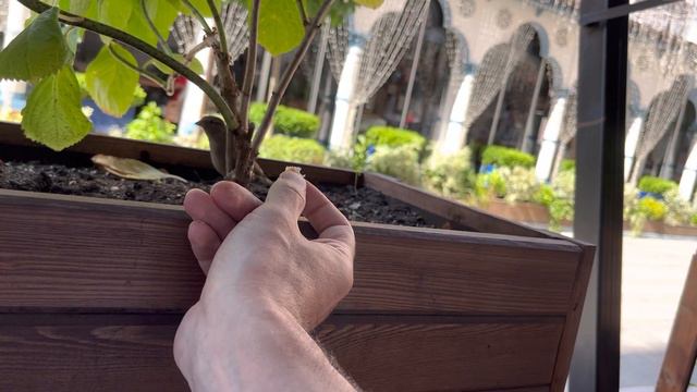 Птичка кормится с руки на красной поляне