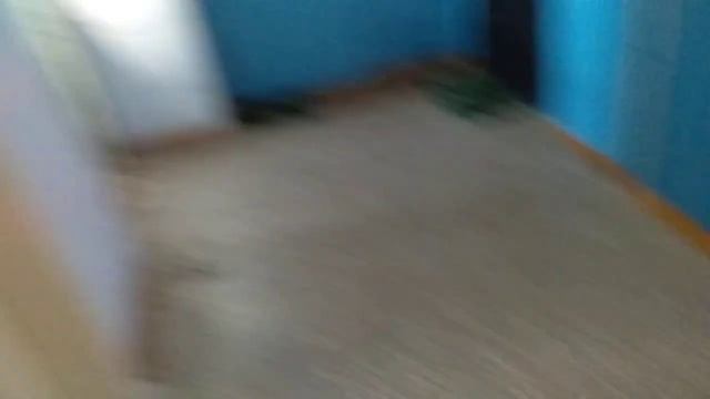 Музыкальный грузопассажирский лифт ELM (г Тверь) V=1 м/с 630 кг смотреть онлайн