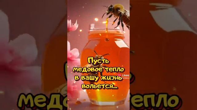 поздравляю всех с медовым Спасом.