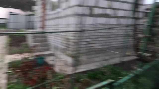 VLOG Золотая кнопка Youtube. Почти выиграли скейт.