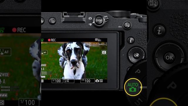 NIKON Z30 |  Nikon 2022|| 4k Vlogging Camera#nikon #nikonusa #nikonz50 #nikonz30 #photography