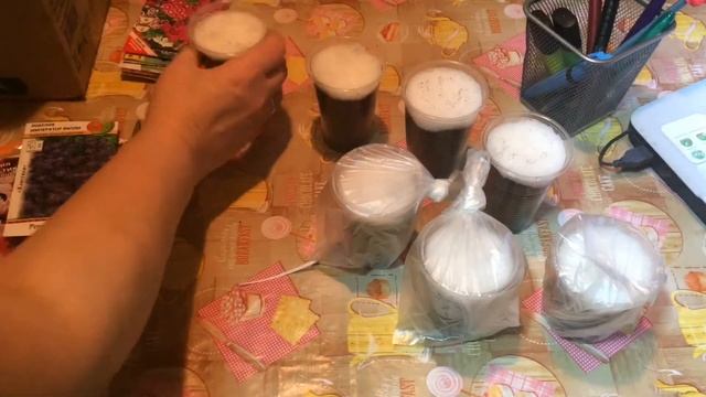 ? ОТКРЫВАЕМ ПОСАДОЧНЫЙ СЕЗОН! ПОДГОТОВКА К ДАЧНОМУ СЕЗОНУ! смотреть онлайн