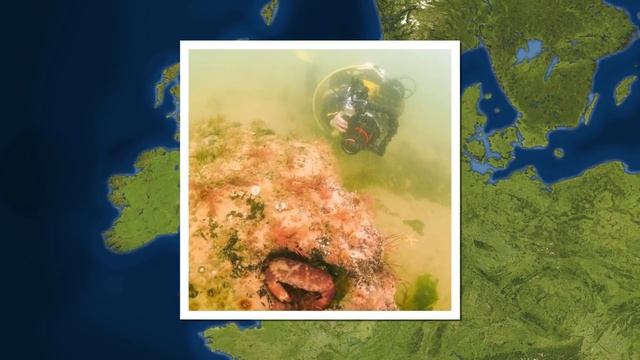 Дайверы Не Поверили Своим Глазам, Когда Обнаружили Это смотреть онлайн