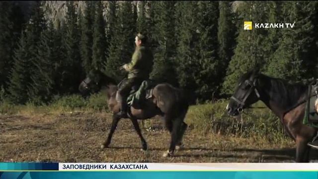 Заповедники Казахстана №14. Государственный национальный парк «Кольсай колдери»