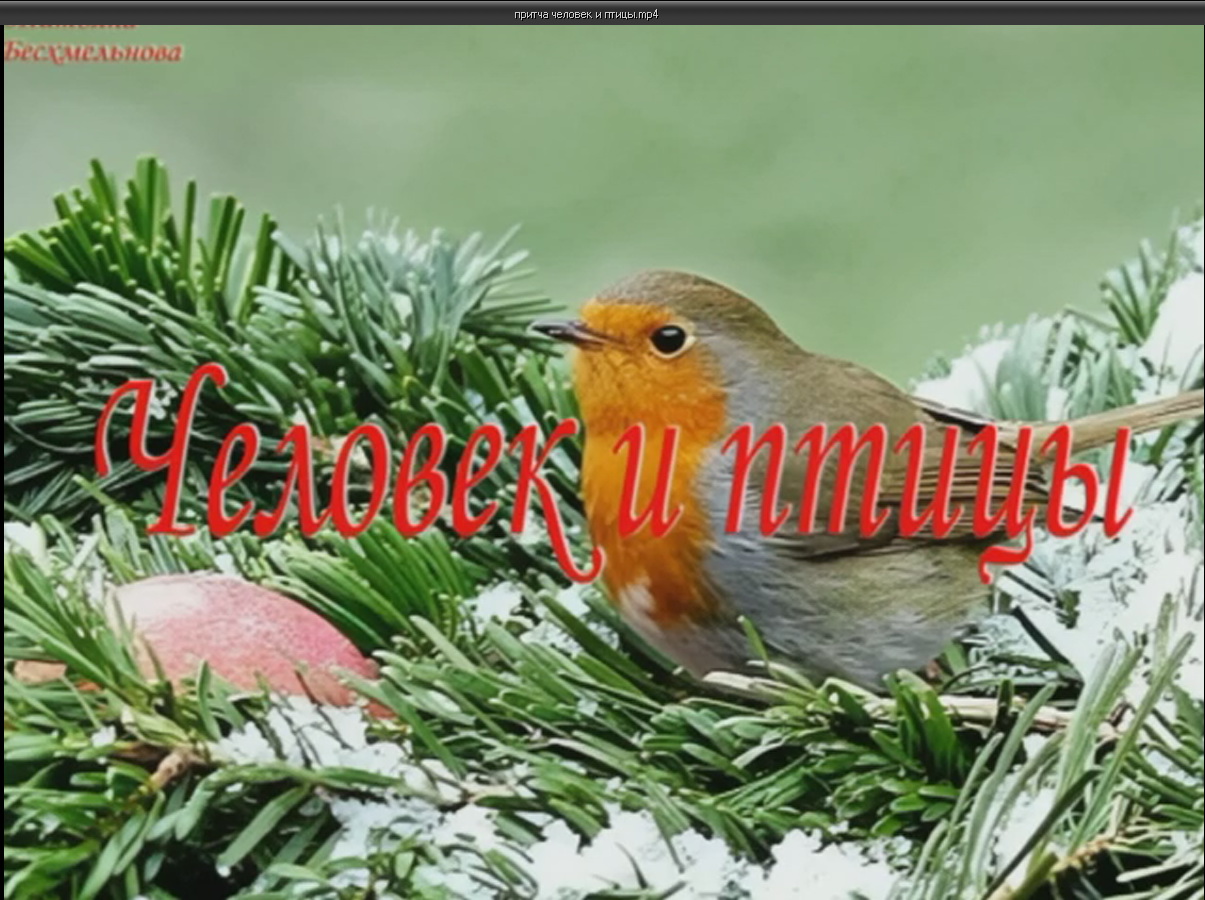 притча"Человек и птицы" смотреть онлайн