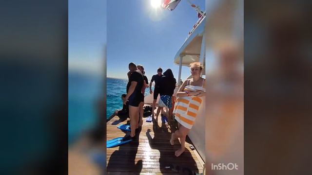 Дайвинг в красном море. Начало февраля 2022г. смотреть онлайн