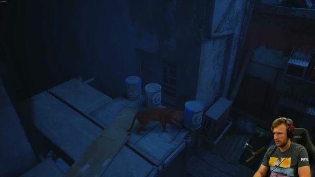 Ich bin eine Katze смотреть онлайн