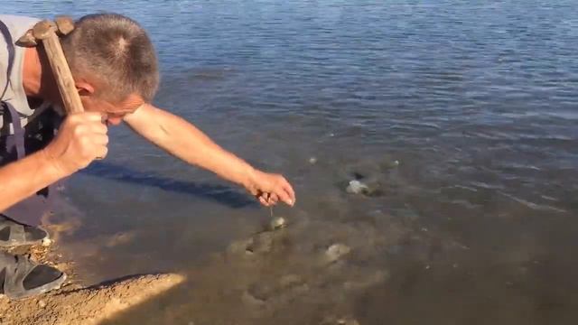 Ржач! Рыбалка прикол смотреть онлайн