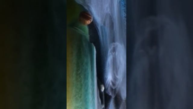 Прости. автор Сабина Шихба.читает СеЛена #b_l_a_c_k_v_e_l_v_e_t #стихи смотреть онлайн