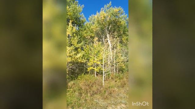 Казахстан, Алакольский район, с. Кокжар, река Тентек. Life is good смотреть онлайн