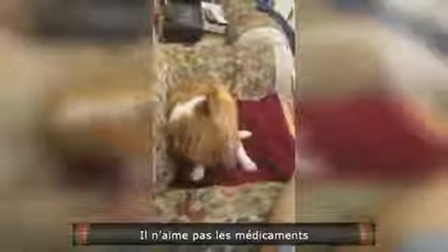 Сладкий сон смотреть онлайн